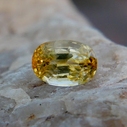 Loose Oval Yellow Sapphire - Stradley & Daughter